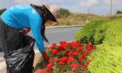 Alanya çiçek bahçesine dönüyor