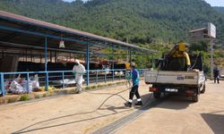 Büyükşehir, Alanya’da kurban pazar yerlerini ilaçlıyor