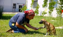 Büyükşehir Belediyesinden Geçici Bakımevi ve Rehabilitasyon Merkezi'ne Yoğun İlgi