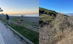 Alanya’da Baharın Müjdesi: Doğanın Güzelliği ve İnsanlık Hikayeleri