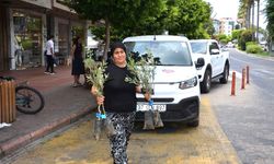19 İlçede 2 Bin Üreticiye 40 Bin Zeytin Fidanı Dağıtılacak