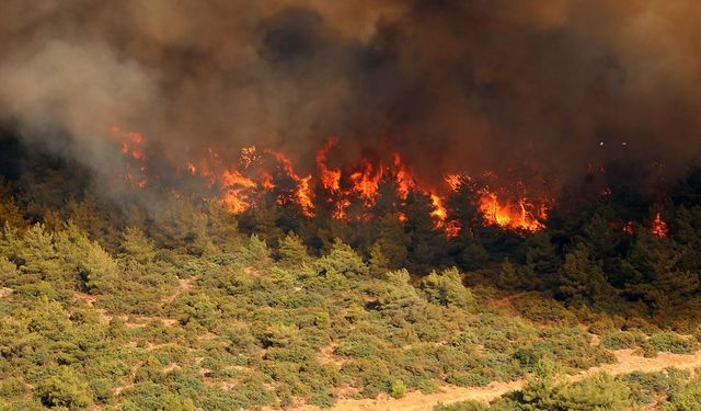 Alanya'da İnsansız Hava Aracı Ormanlık Alana Düştü, Yangın Çıktı