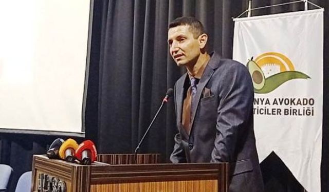 Alanya'da Avokado Heyecanı Başlıyor: Hasat 1 Ağustos'ta