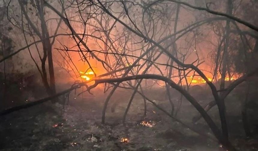 Alanya Kızılalan'da Yangın Kısa Sürede Söndürüldü